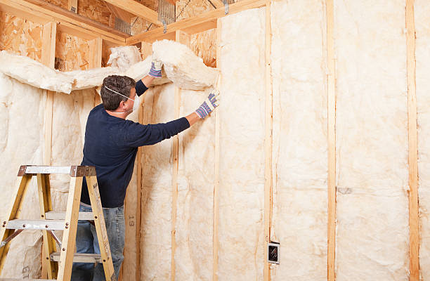 Best Eco-Friendly Insulation Solutions  in Seneca, IL